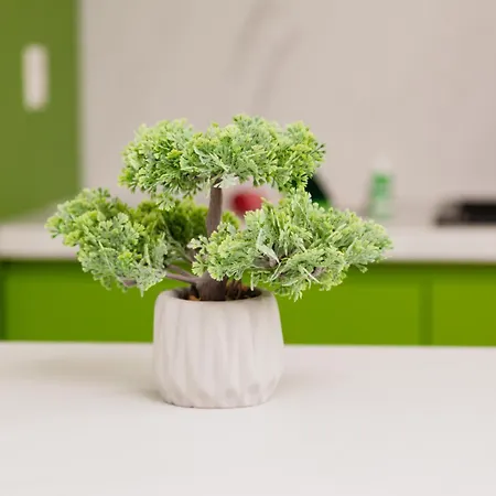 Apartment Sofia 3 -love Couples -by Easylife Swiss *